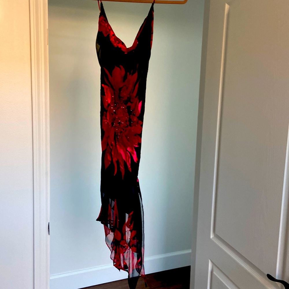 Holiday Beauty! Poinsettia dress!